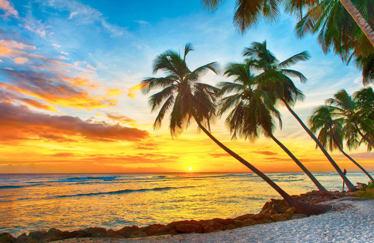 sunset cover photo
