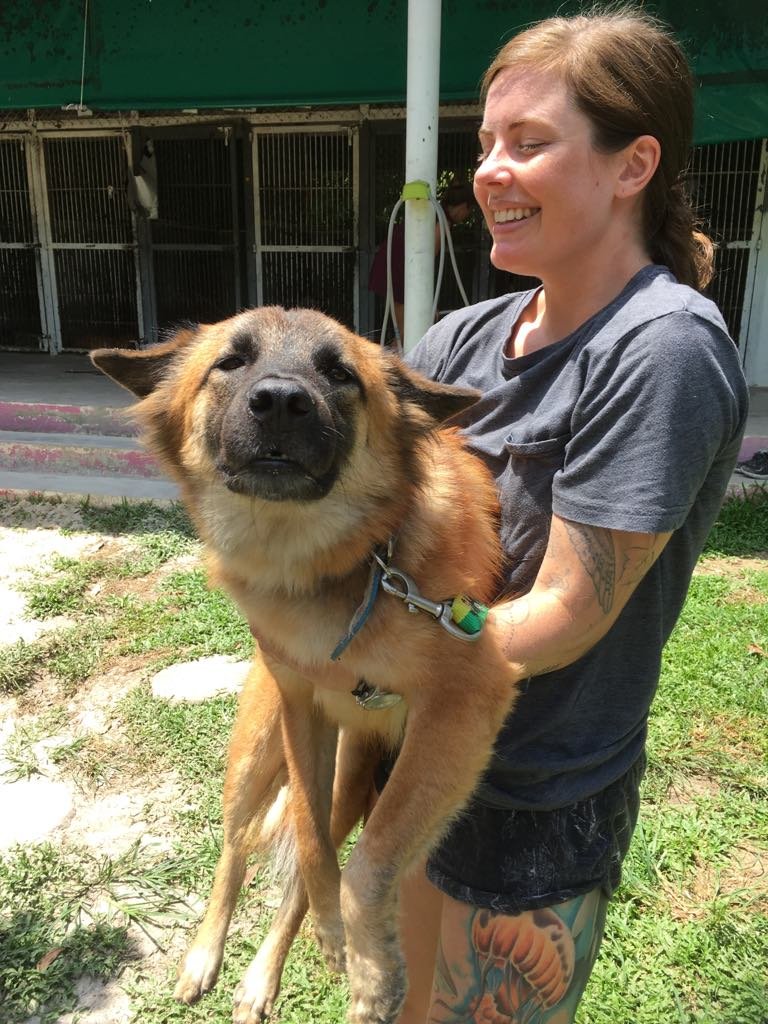 Girl holding dog at the PACS in Thailand, Koh Phangan