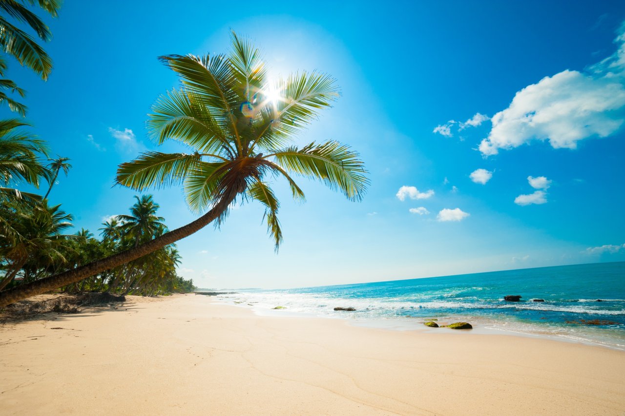 Dream Job beach days