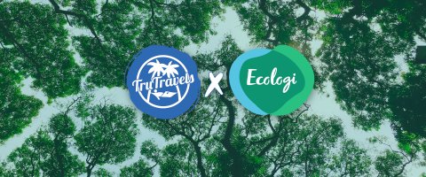 TruTravels X Ecologi Banner with a background image of green treetops 