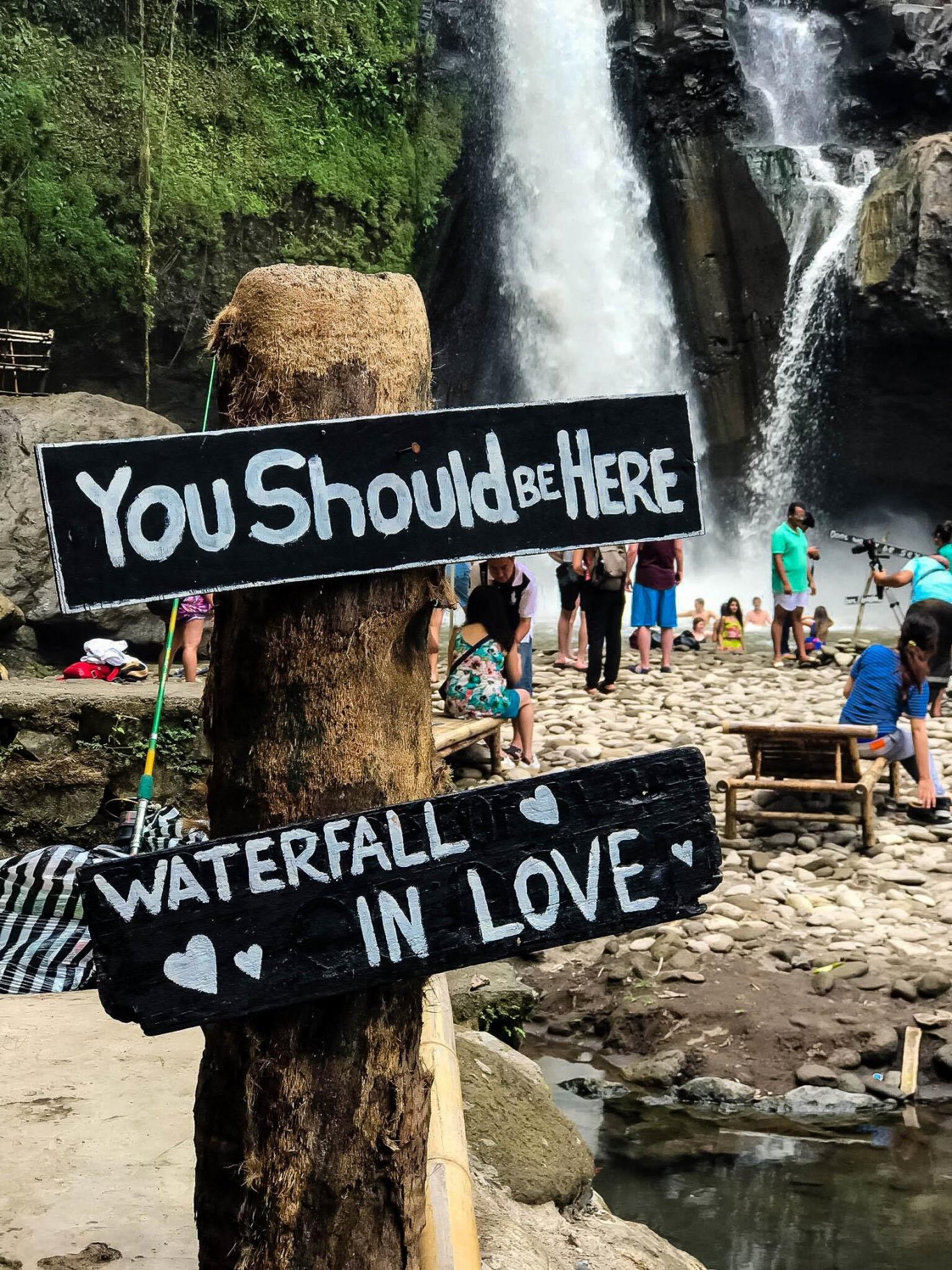 Signs with cute quotes on them in front of a waterfall 