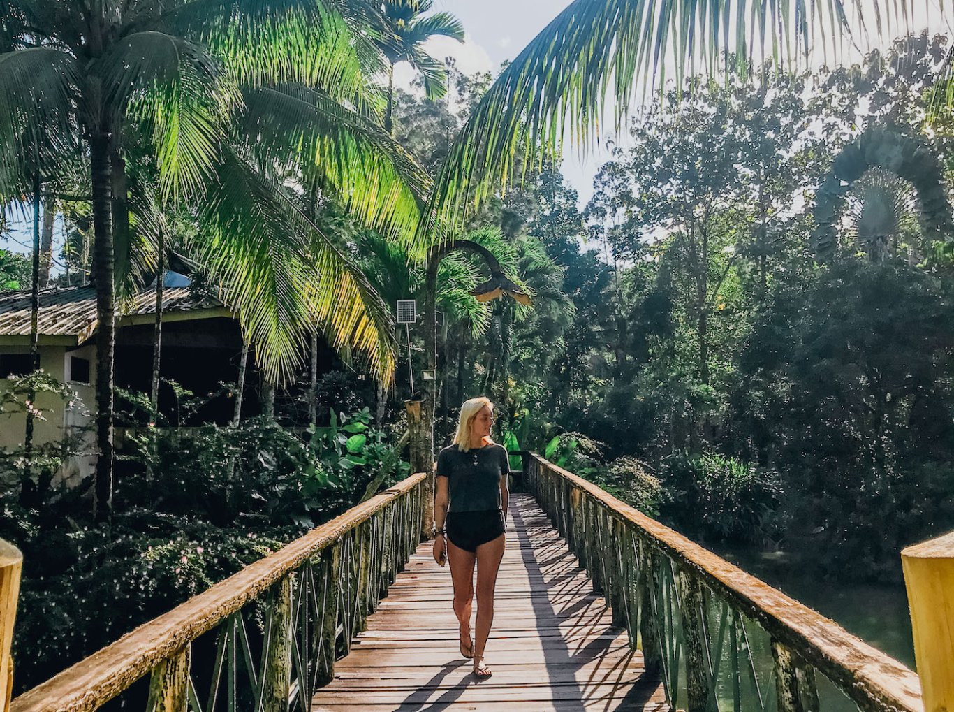 Phoebe walking along bridge in the Jungle, Borneo