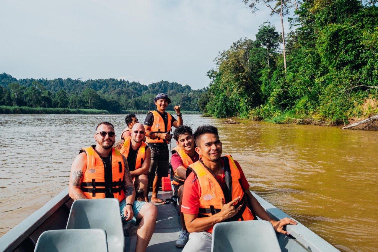borneo safari experience