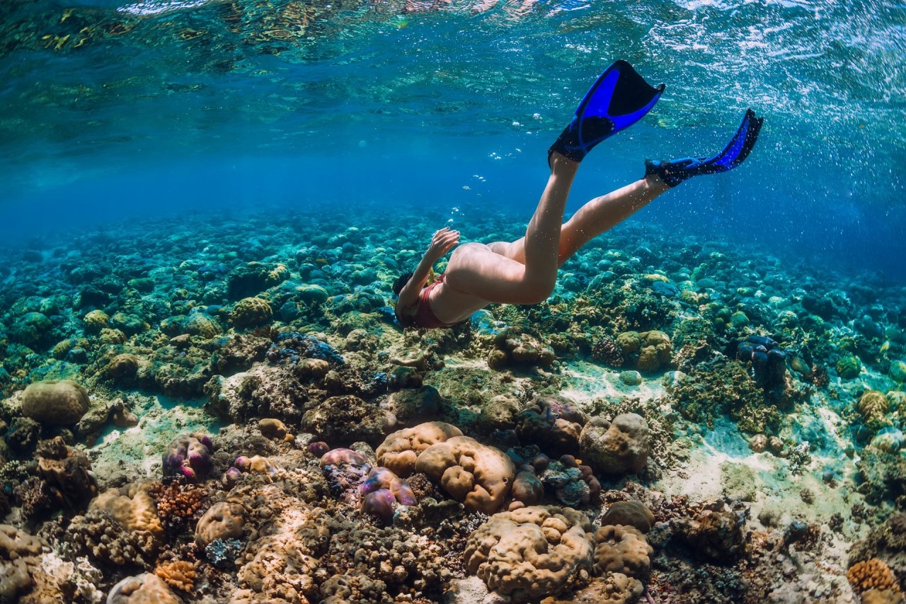 Snorkelling in Borneo