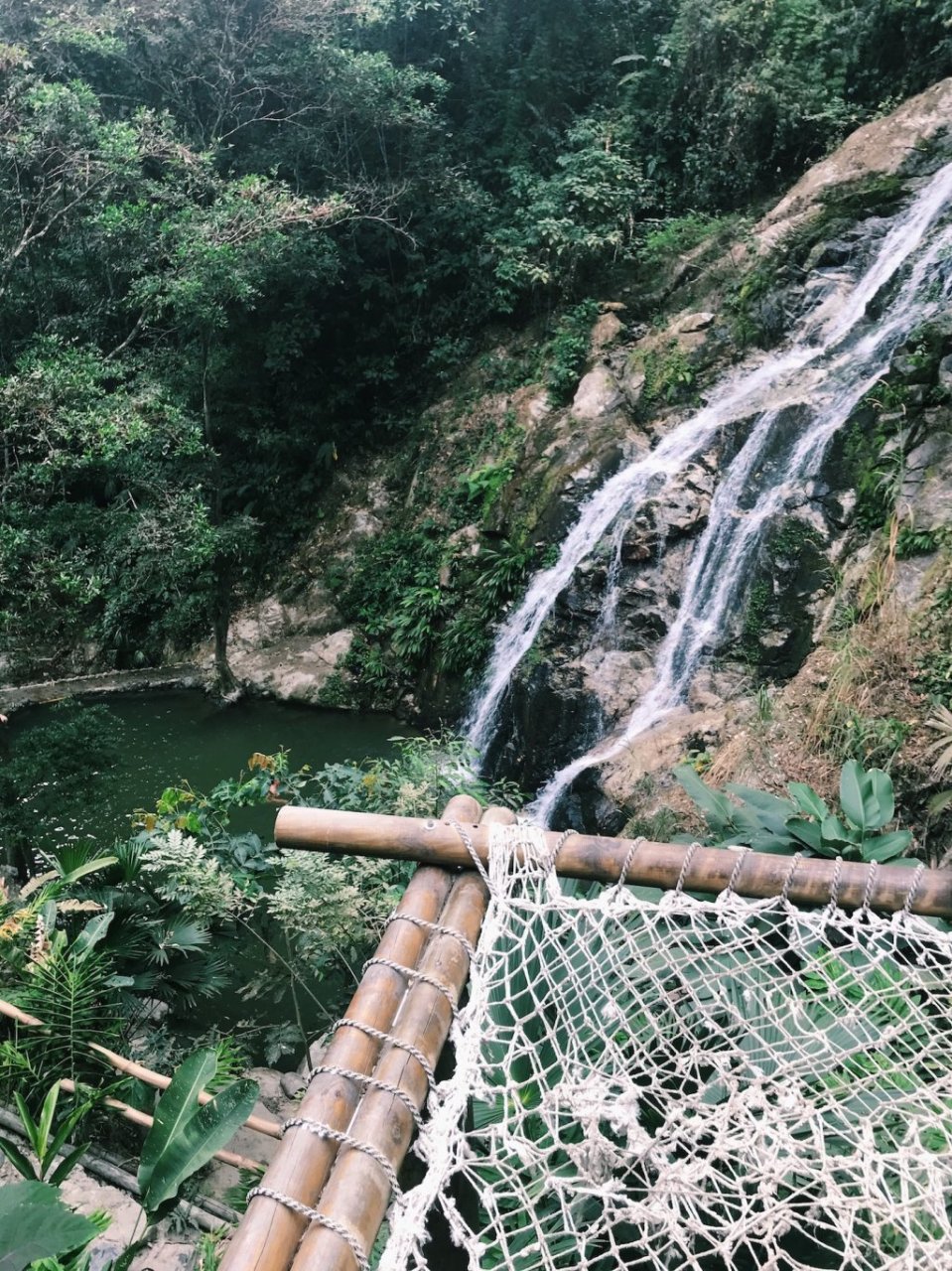 Looking out at the view - Minca jungle