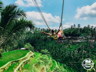 Girl on Bali swing in rice terraces and blue sky 