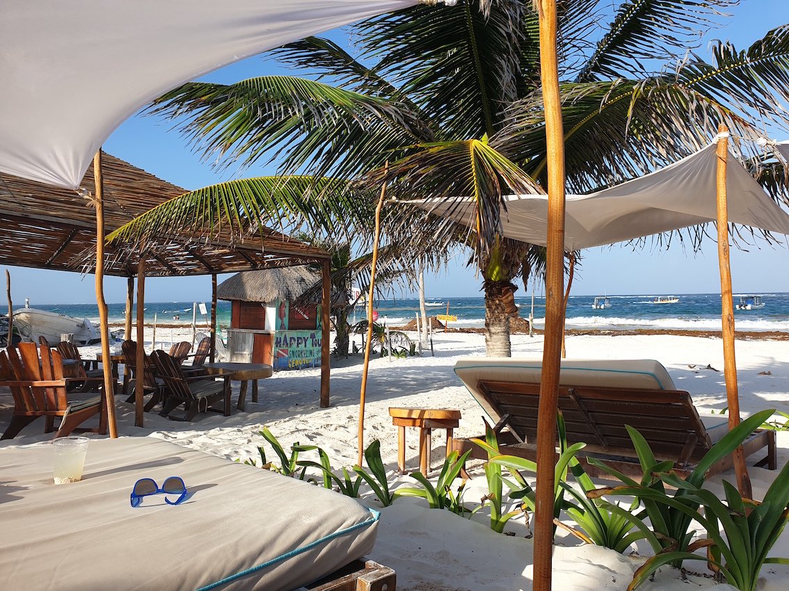 beach beds on beach with palm trees and the sea in the distance
