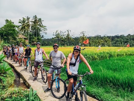 A group on a bike ride through lush greenery in Bali, Indonesia 