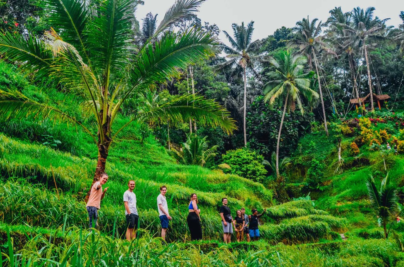 A group walking through the lush emerald green rice terraces in Ubud, Bali, Indonesia 