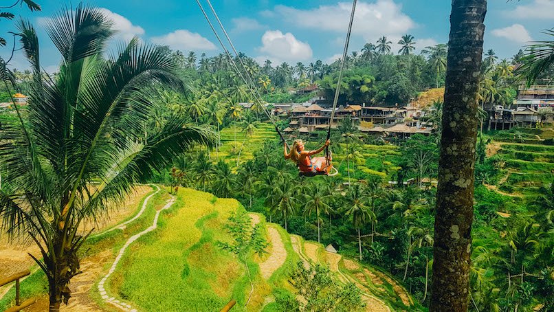 Girl on Bali swing surrounded with jungles and rices terraces 