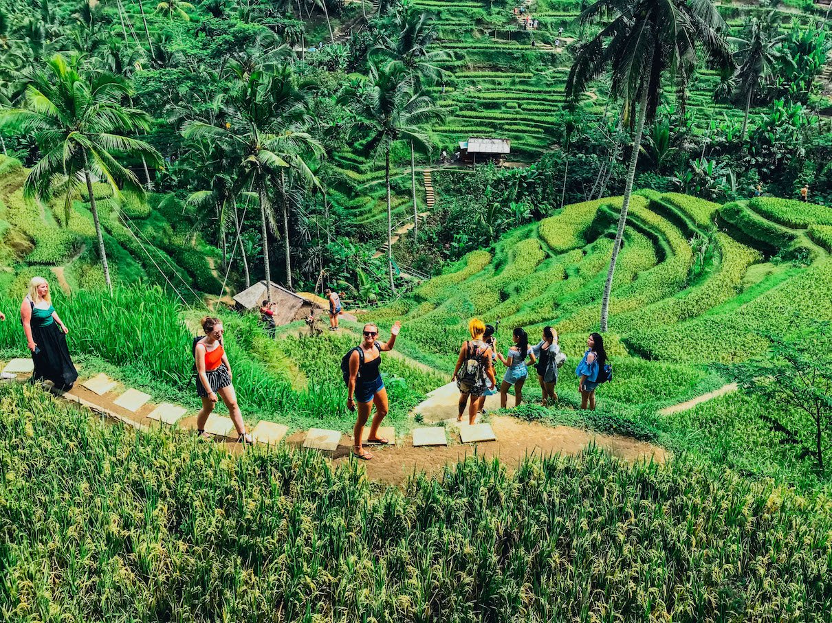 people walking through rice terrace in Ubud Bali