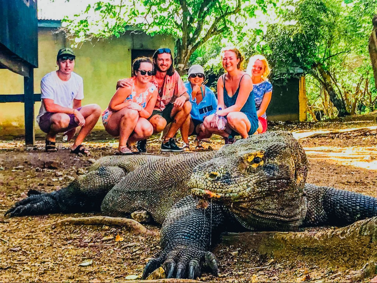 Group of travellers kneeling down behind komodo dragon