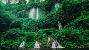 Green trees with waterfall running down in Lombok Indonesia
