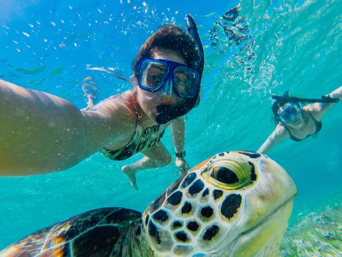 girl underwater snrokelling with turtle 