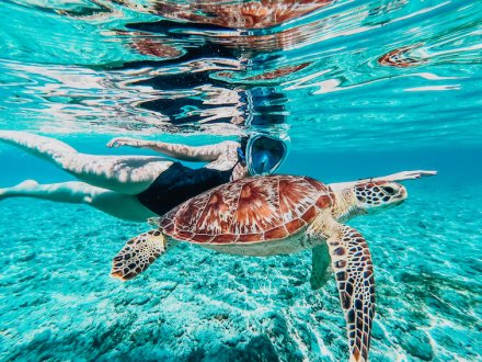 A girl swimming with a turtle in the clear blue sea while snorkelling in Gili Trawangan, Bali, Indonesia 