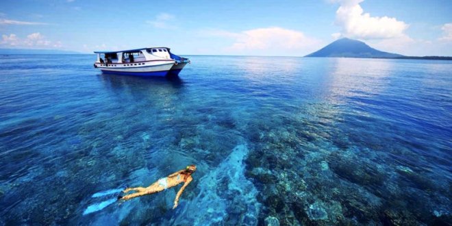 snorkeling around mojo island indonesia