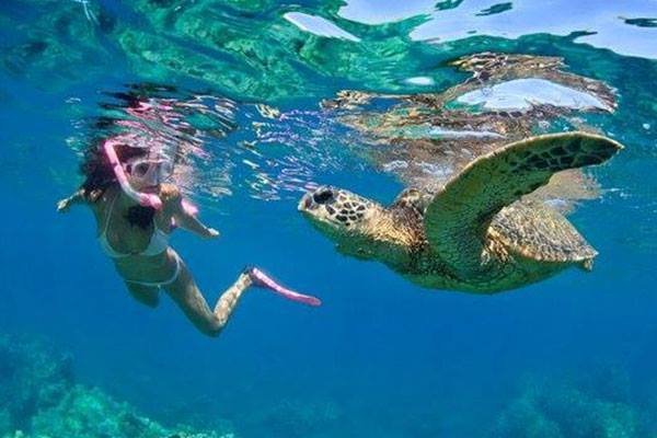 best snorkeling spot's around Bali