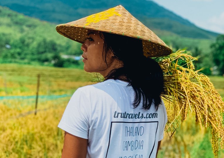 Traveller in the rice fields, Laos