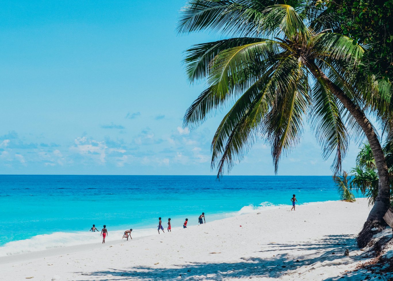 A shot of a beach in the Maldives showing the white sand, bright blue clear sea and a palm tree