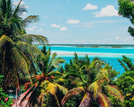 A shot of the emerald green palm trees and vibrant clear blue ocean in Bacalar, Mexico 