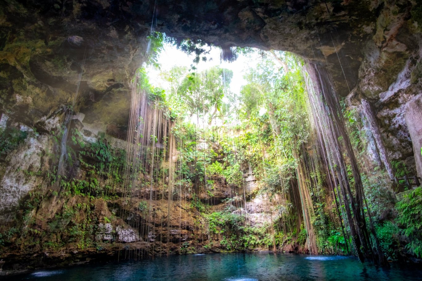 A shot of a blue water Cenote, showing the luscious greenery and hanging leaves in Mexico 