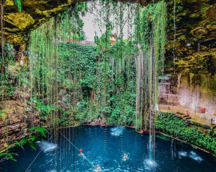 A scenic shot of a blue Cenote, showing the surrounding greenery ad branches in Mexico 