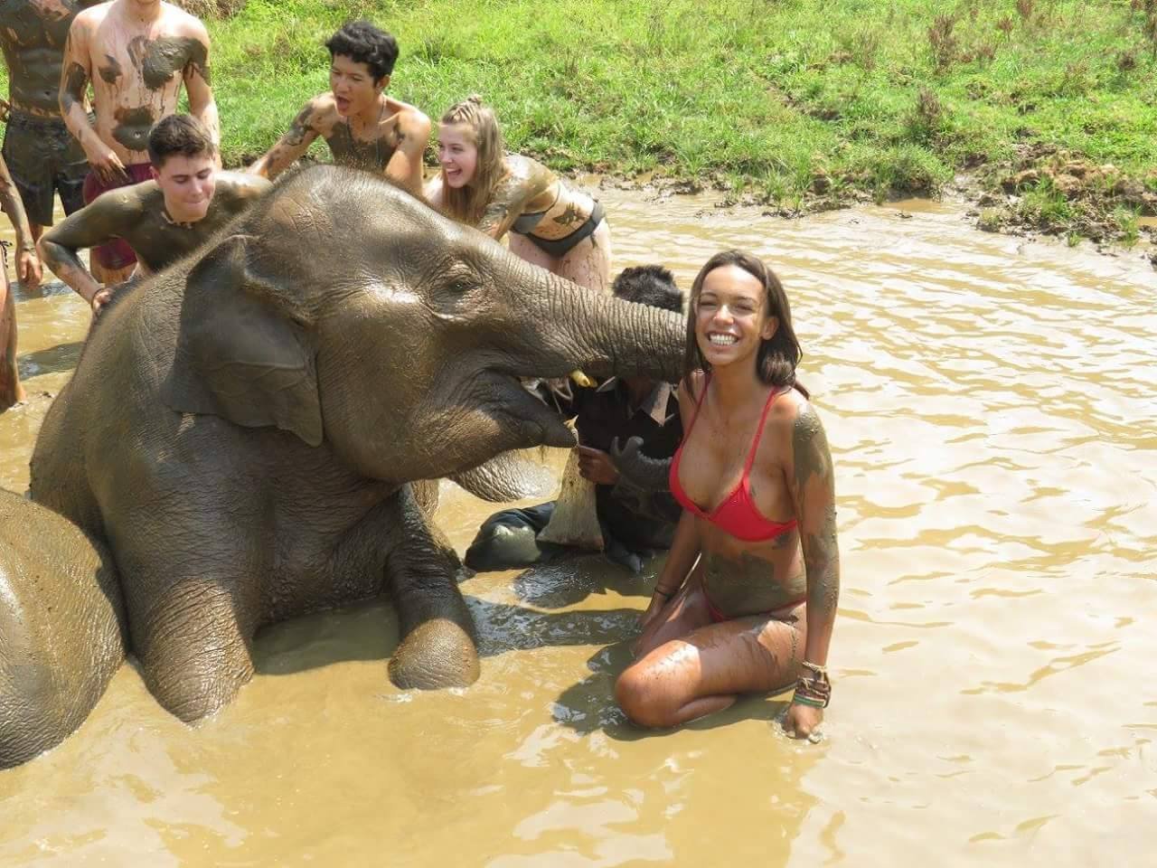Travel Advice - Elephants