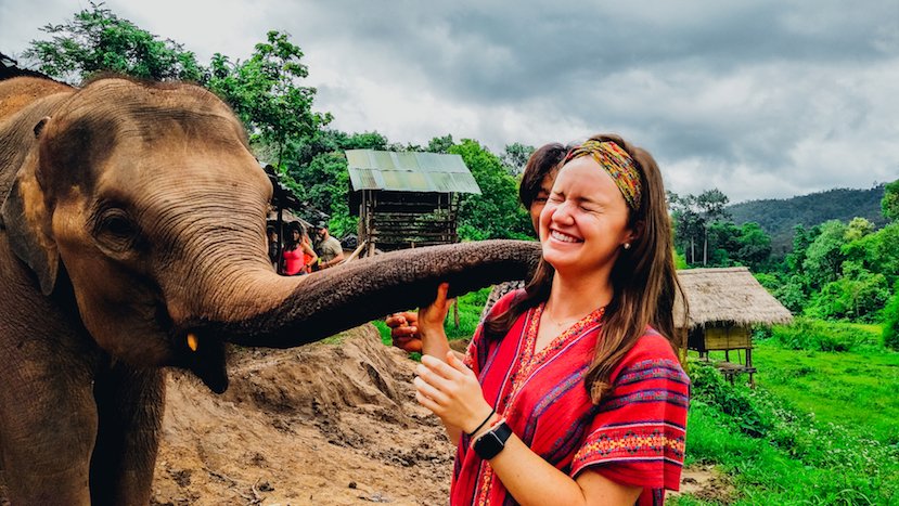 A girl getting kisses from an elephant in Chiang Mai Thailand 
